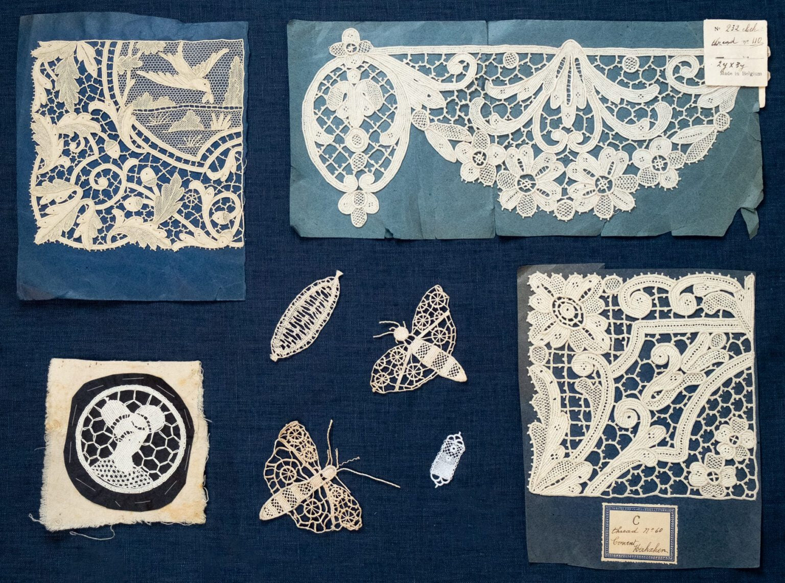 Flat lay of antique Irish lace samples on blue textile background, featuring floral and butterfly motifs, needle lace, and Victorian-era lace designs.