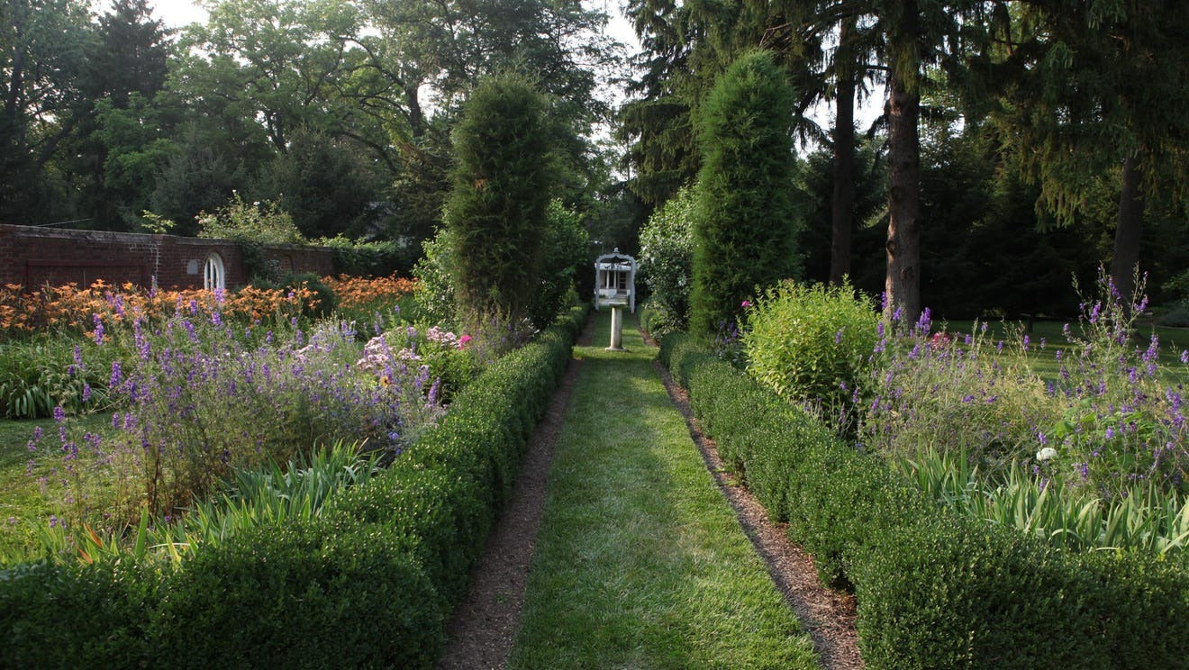 Long grassy garden pathway flanked with clipped boxwood, tall yew, and flower borders