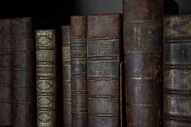 Row of antique Victorian books with dark brown leather bindings and gilt lettering, classic examples of 19th-century book design.