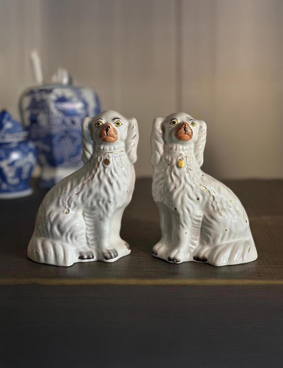 Pair of antique Staffordshire spaniel figurines with gilt collars, displayed on a dark wood surface with blurred blue-and-white pottery in the background.