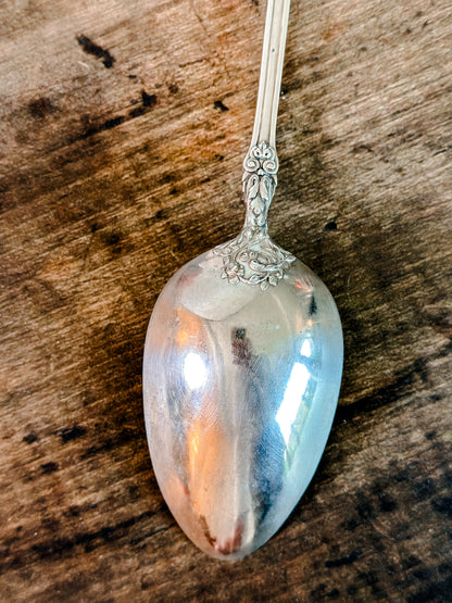 Rosalie Serving Spoon