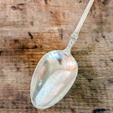 Rosalie Serving Spoon