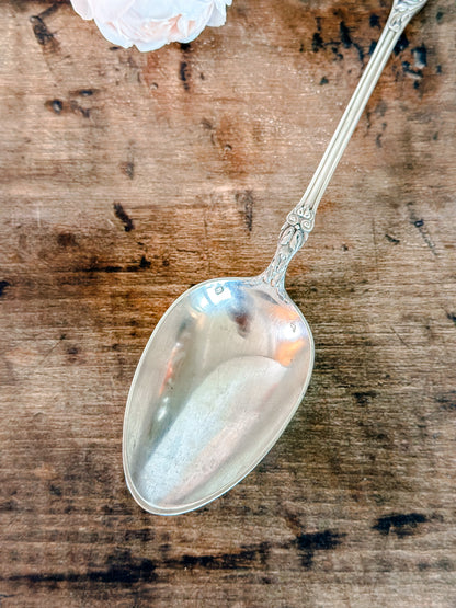 Rosalie Serving Spoon