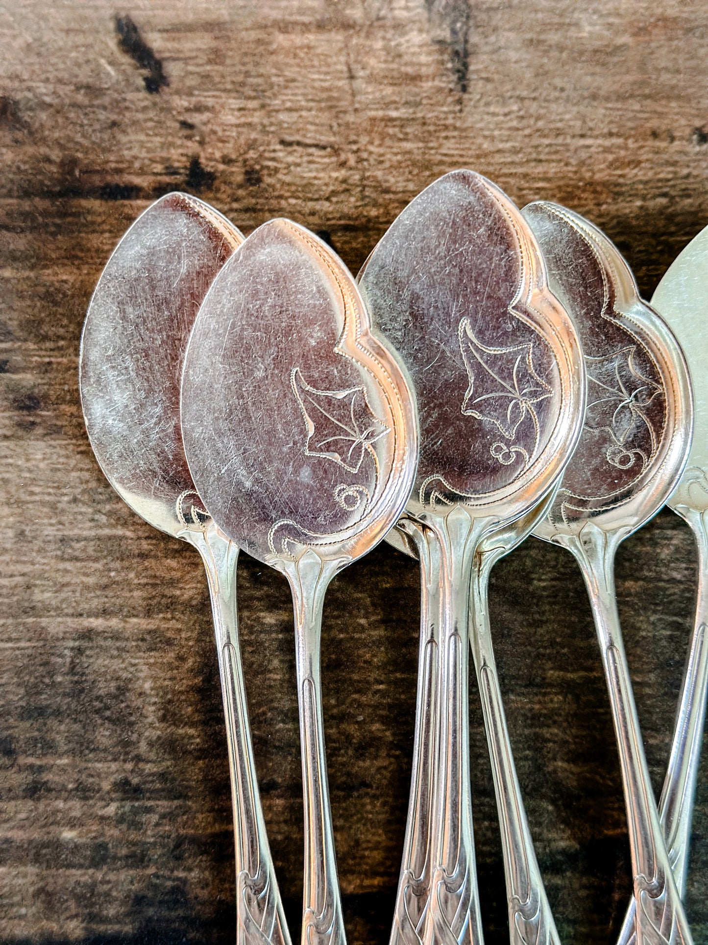 Hedera Dessert Spoons